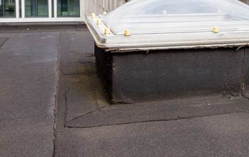 disadvantages of Liss Forest flat roofs